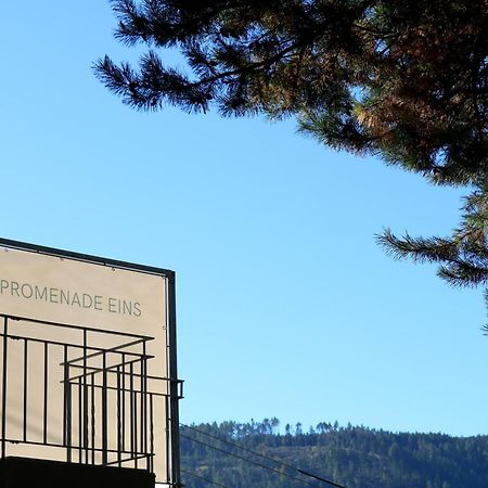 Top Five See & Bergblick - Haus Seepromenade Dobriach Bagian luar foto